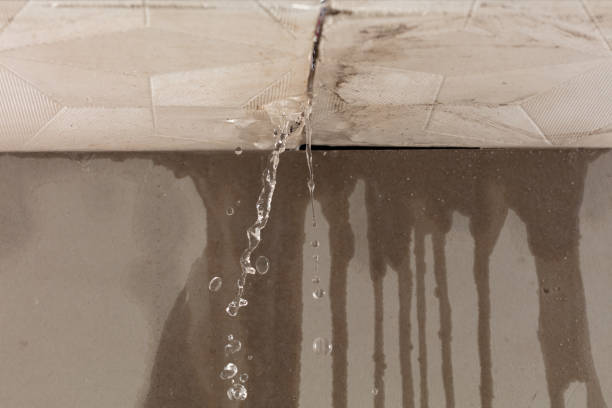 Professional Sewage Cleanup technician working in Wolcott, IN